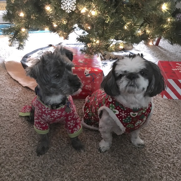 Meet your Posher, Jen - Picture 2 of 2